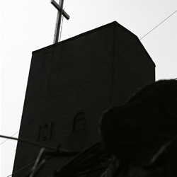 dailyPhoto15